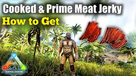 ark survival evolved meat|command for cooked meat ark.